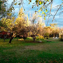 Cabañas en Arroyo de los Patos - Córdoba