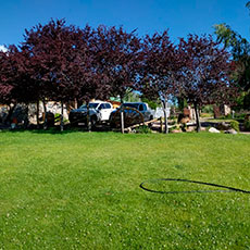 Cabañas Potrerillos
