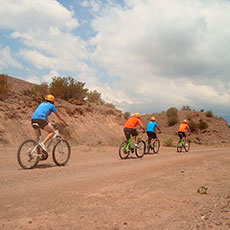 Excursiones Potrerillos