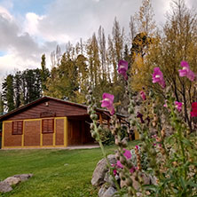 Cabañas Potrerillos