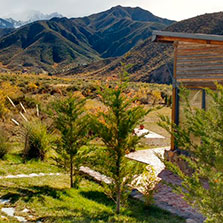 Cabañas Potrerillos