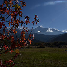 Cabañas Potrerillos