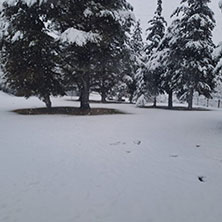 Cabañas Potrerillos