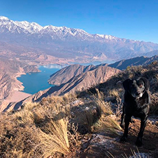 Excursiones Potrerillos