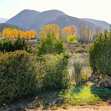 Colores del otoño en El Salto Potrerillos