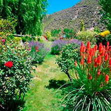 Cabañas Potrerillos