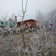 Cabañas Potrerillos