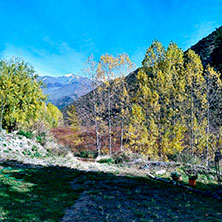 Cabañas Potrerillos