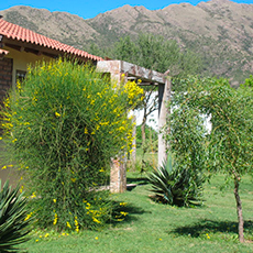 Cabañas Potrero de los Funes