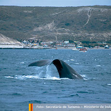 Alojamiento en Puerto Madryn