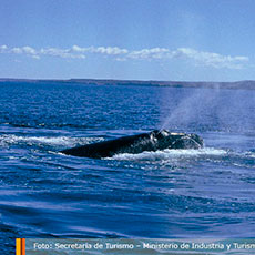 Fotografía Puerto Madryn