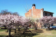 Cabañas Las Elenas