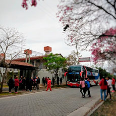 Cabañas Salta