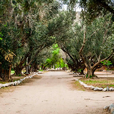 Cabañas San Marcos Sierras