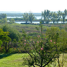 Cabañas Agua Verde