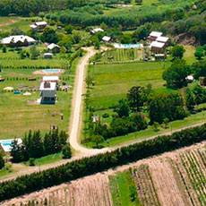 Cabañas San Pedro