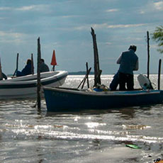 cabañas en San Pedro