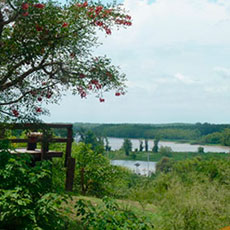 cabañas en San Pedro