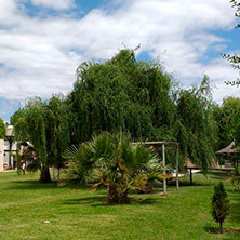 Cabañas San Rafael