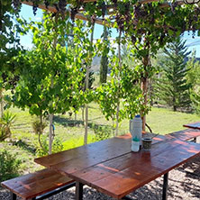 La Emilia Apart en San Rafael