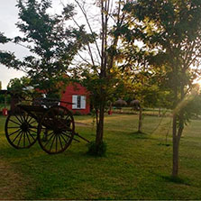 Cabañas San Rafael