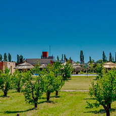 Cabañas San Rafael