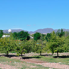 Cabañas San Rafael