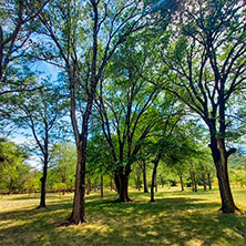 Cabañas Santa Rosa de Calamuchita