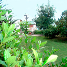 Cabañas Sierra de la Ventana