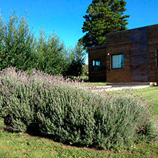 Cabañas Sierra de la Ventana