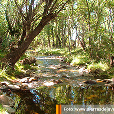 Fotografía Sierra de la Ventana