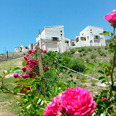 Cabañas Tafi del Valle