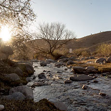 Cabañas Tafi del Valle