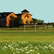 Tandil Cabañas