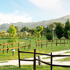 Tandil Cabañas