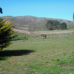 Tandil Cabañas