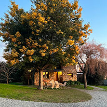 Tandil Cabañas