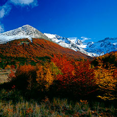 Alojamiento en Ushuaia