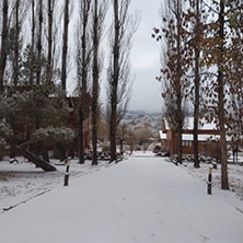 Cabañas Uspallata