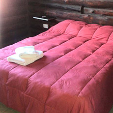 Cabañas Uspallata