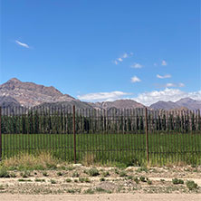 Cabañas Uspallata