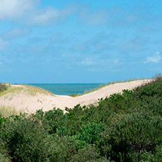 Alojamiento Valeria del Mar