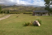 Cabañas Valle de Uco