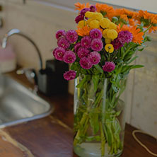 Alojamiento en Tunuyan