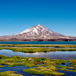 Fotografía Valle de Uco