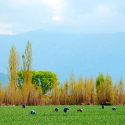 Fotografía Valle de Uco