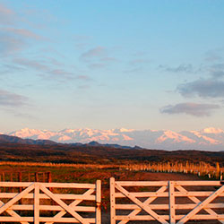 Fotografía Valle de Uco