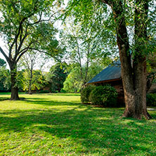 Cabañas Grenouille