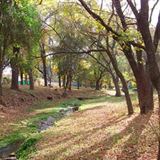 Fotografía Villa General Belgrano