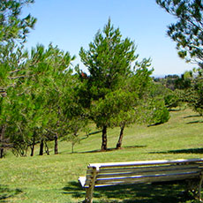 Cabañas Villa Giardino